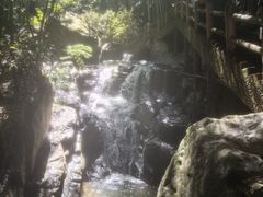 -藏龙百瀑风景区