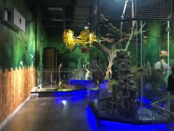 -未来动物城主题公园(正弘城店)