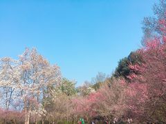 -杭州植物园