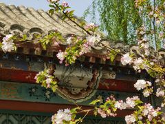 -海棠花溪(元大都城垣遗址公园)
