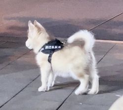 -Oasis Beauty水磨坊科技美肤中心