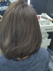 -藤野造型