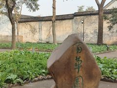 -绍兴鲁迅故里·沈园景区