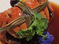 -杨氏青龙虾·羊蝎子(金盛路总店)