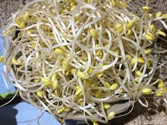 -堂客老火锅(欣阳广场总店)