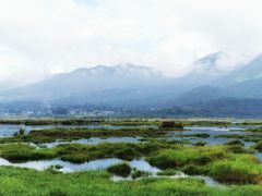 -腾冲北海湿地