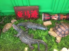 -亚马逊环球美食百汇(新城吾悦广场店)