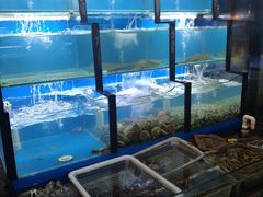 水产区-老东镇啤酒屋海鲜加工·蒸汽海鲜·海鲜烧烤(台东店)