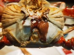 -子霖南山鲜虾面(南山总店)