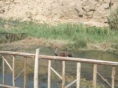 -水洞沟旅游区