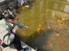 -太湖湾开元名庭大酒店