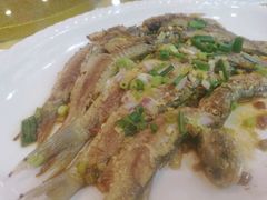 -阿四台山黄鳝饭(东门店)