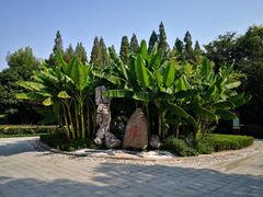 -白鹭洲公园
