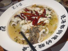 -宋小谨(惠安禹洲店)