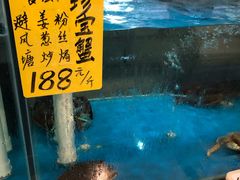 -鹅城
