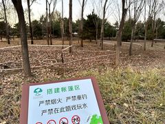 -东郊湿地公园
