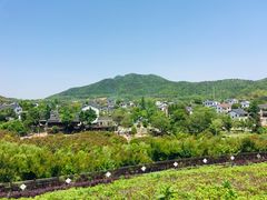 -石塘人家