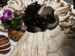 -臻牧壹品雪花牛肉火锅(大兴九臻店)