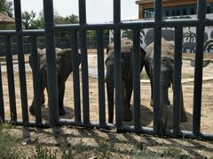 -新疆天山野生动物园