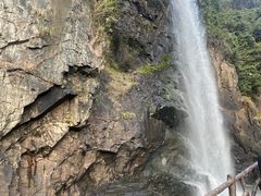-九鲤湖风景区