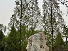 -中华世纪坛