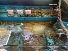 -中苑海韵