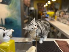 -咖法森林·咖啡  酒吧(天河店)