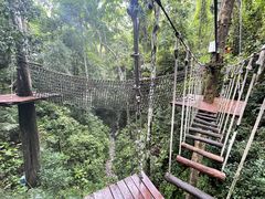 -西双版纳原始森林公园