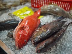 -大树下海鲜饭店