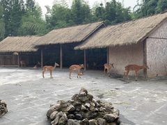 -金沙遗址博物馆