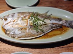 清蒸海鲈鱼-淀里船宴(卓达店)