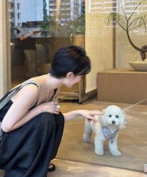 -时尚殿堂hair salon