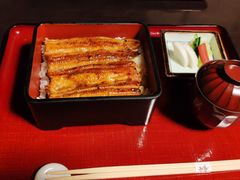 -料亭菊水楼
