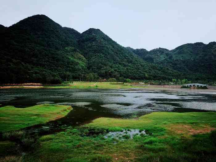 1115人贊2雨霖鈴珞2019年8月21日打分90地點 德興鳳凰湖景區