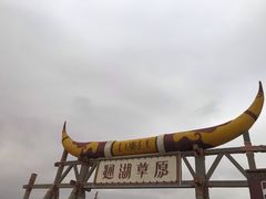 -通湖草原