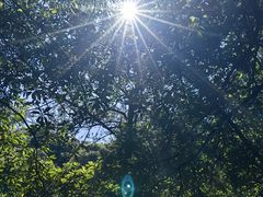 -广州白江湖森林公园