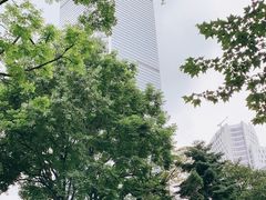 -静安公园(静安寺街道)