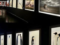 -罗红摄影艺术馆