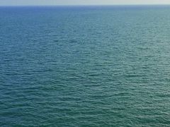 -广东惠东海龟国家级自然保护区