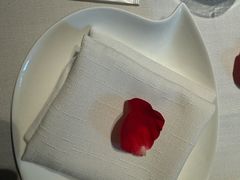 -梧桐