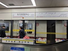 -东方体育中心(地铁站)