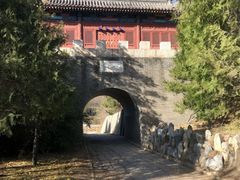 -云岗森林公园