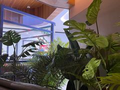 -大树餐厅(益田假日店)