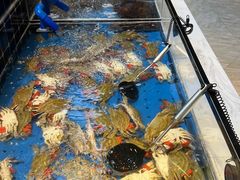 -川骄海鲜自助(河东店)
