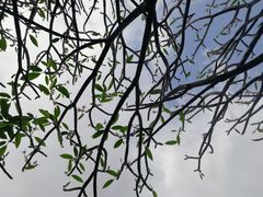 -怡海公园(桂城街道)