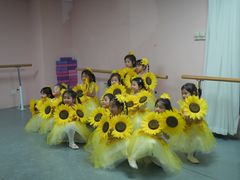 -舞研舞蹈培训(魏公村校区)