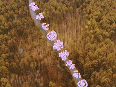 -呼伦贝尔大草原