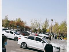 -大兴滨河森林公园