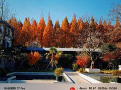 -黄海国家森林公园