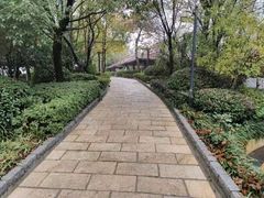 -天目湖涵田半山温泉